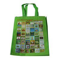 江北LB11覆膜无纺布广告袋